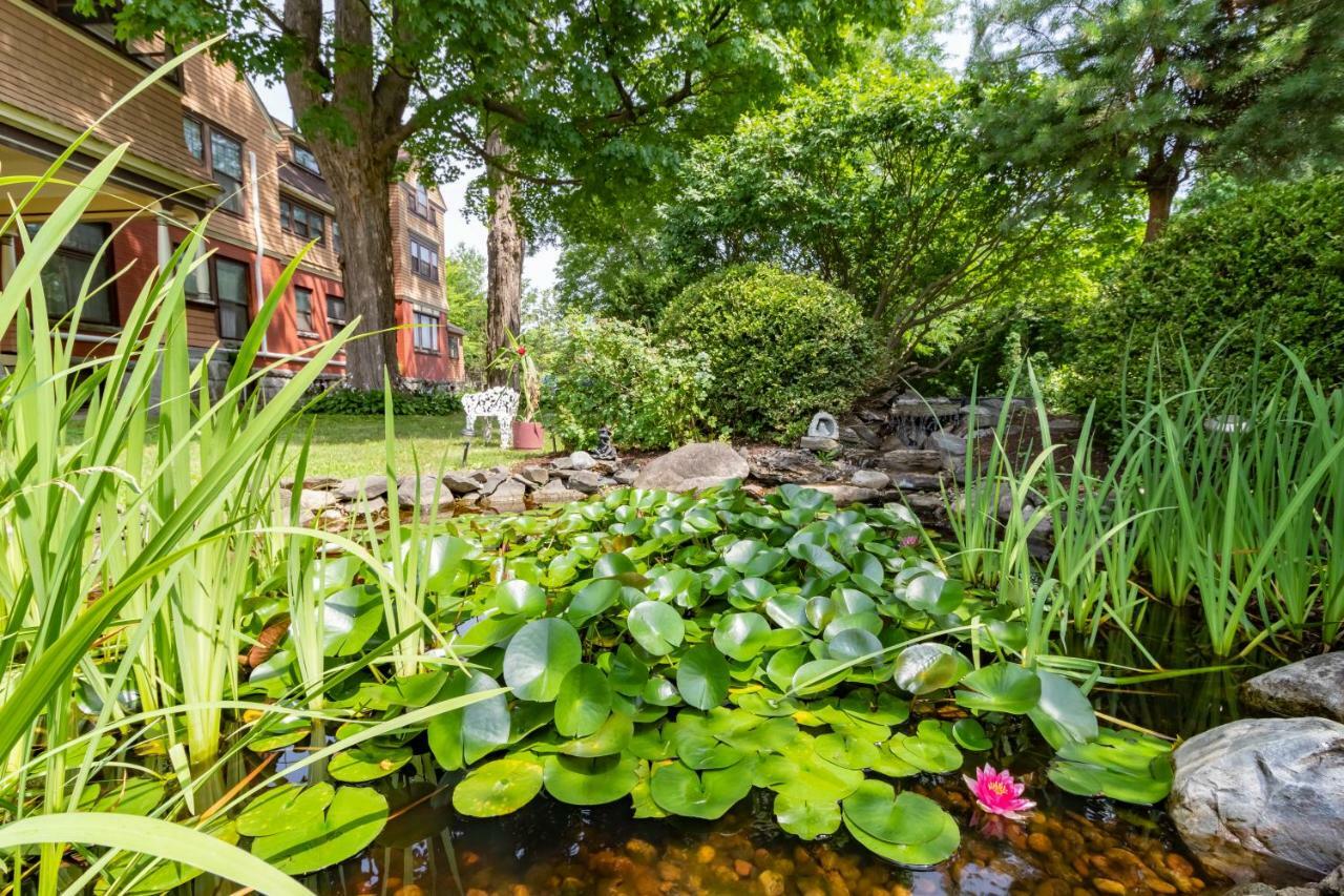Saratoga Dreams Bed And Breakfast Саратога-Спрінгс Екстер'єр фото